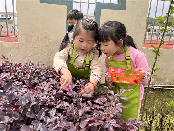 微信图片_202204271208181.jpg