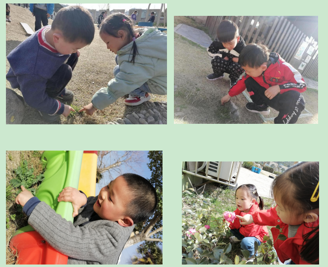 QQ截图20220311163903.png