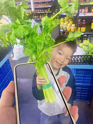 我和蔬菜宝宝