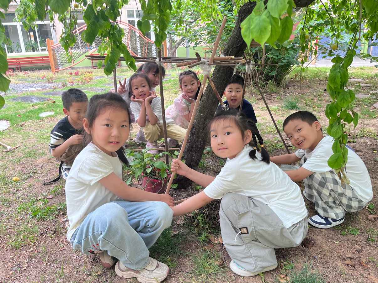 为植物搭帐篷