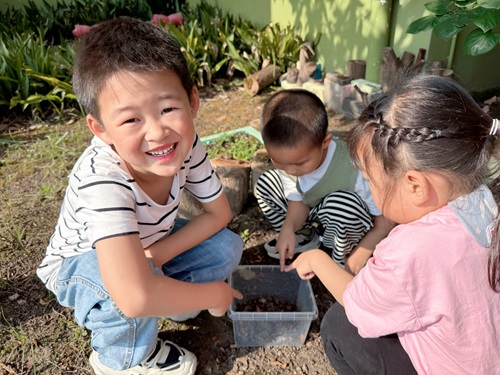 小小观察家