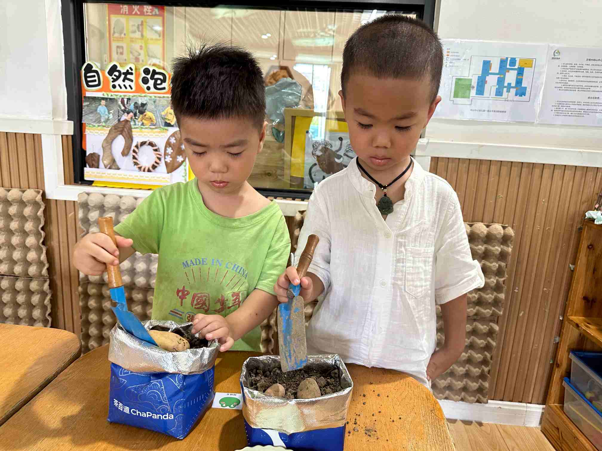 种土豆